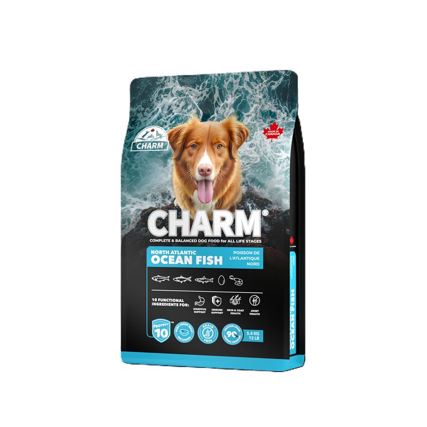 新チャームドッグ　フィッシュ5.4kg