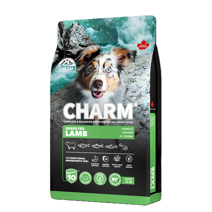 新チャームドッグ　ラム10kg