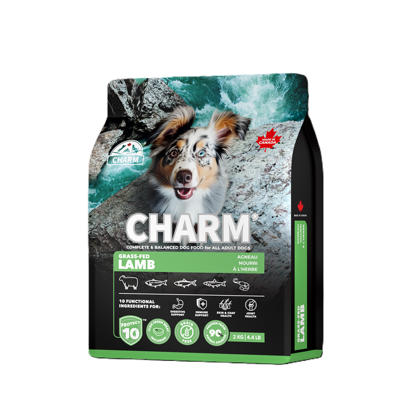 新チャームドッグ　ラム2kg