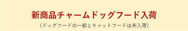 チャーム入荷案内バナー