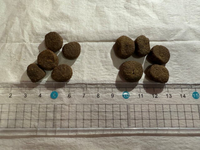 10％OFF】 オリジンドッグフード ラージブリードアダルト 11.4kg