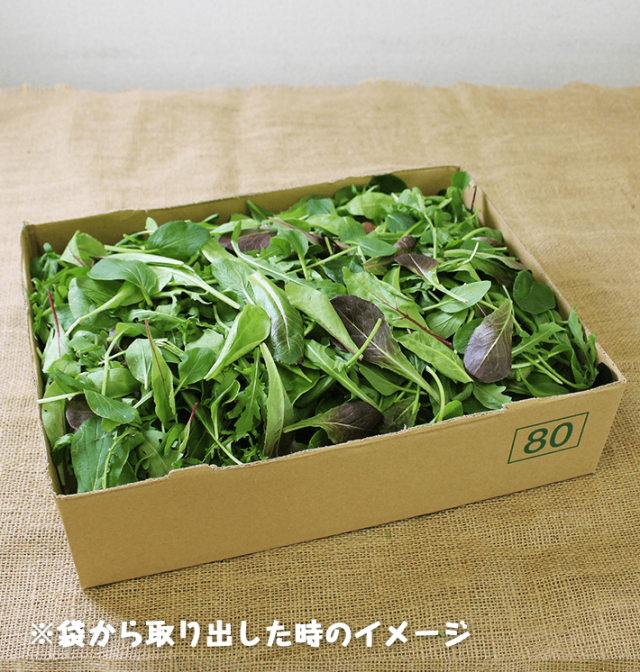 ベビーリーフ[有機/定期]400g | 無農薬・有機野菜の宅配通販モアーク