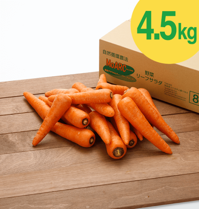 無農薬にんじん[ジュース用・無農薬/無化学肥料] (4.5kg)