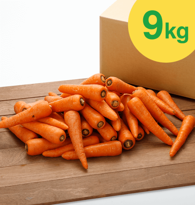 無農薬にんじん[ジュース用・無農薬/無化学肥料] (9kg)