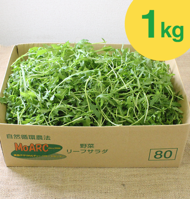 ルッコラセルバチカ[有機栽培] (1kg)