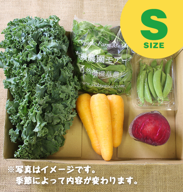 オーガニックサラダbox [無農薬野菜のサラダ](Sセット)