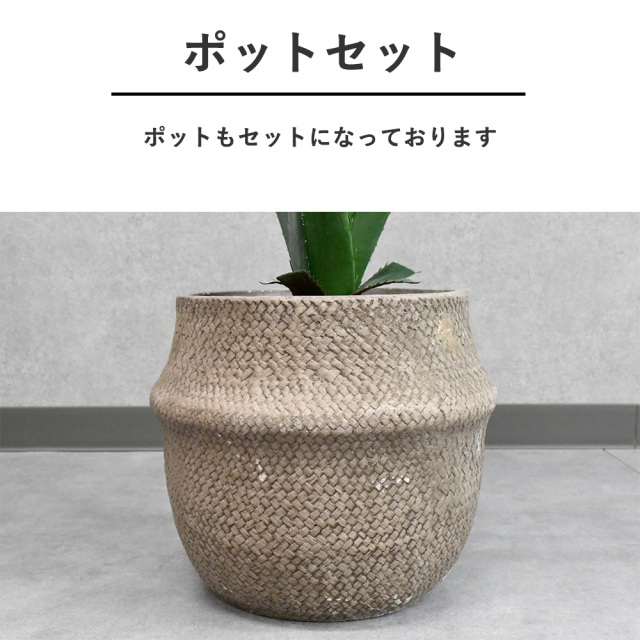 観葉植物 雑貨 インテリア フェイクグリーン アロエ インテリア