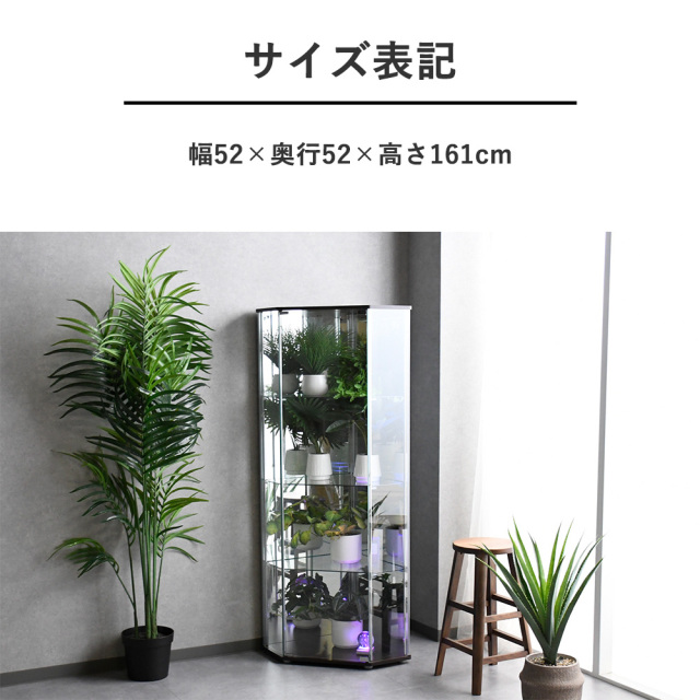 お部屋の角における コレクションケース ガラス コレクションボード