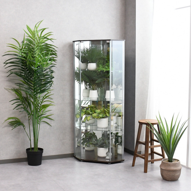 お部屋の角における コレクションケース ガラス コレクションボード コーナー ガラスケース 50cm 160cm ハイタイプ 大きめ おしゃれ ミラー