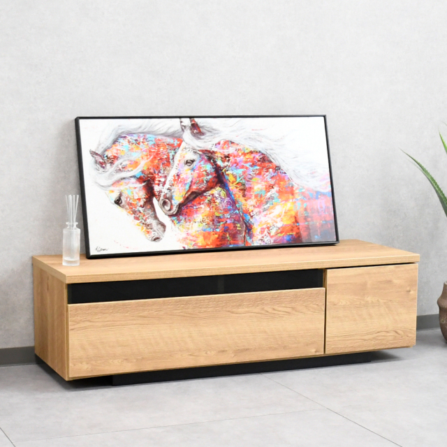 【アウトレット】 国産完成品120cm幅テレビ台 テレビボード FG14E