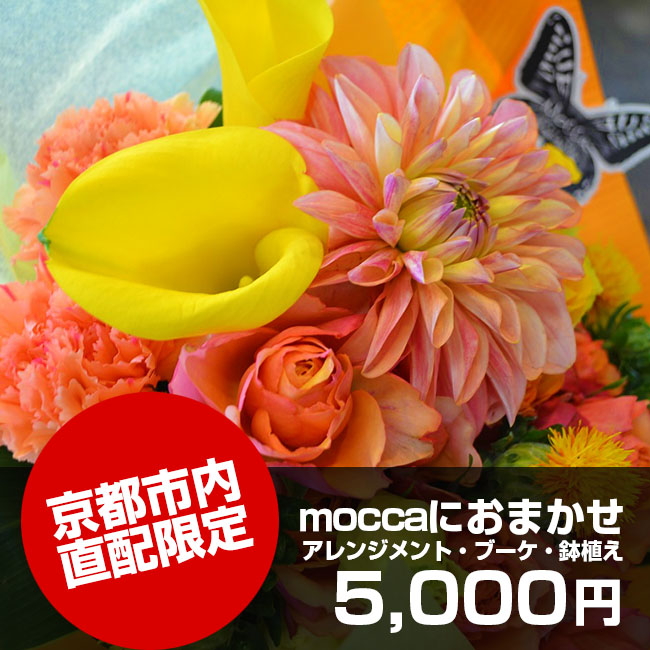 京都市内直配限定moccaにおまかせ5,000円
