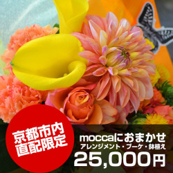 【送料無料】京都市内直配限定moccaにおまかせ25,000円