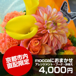 京都市内直配限定moccaにおまかせ4,000円