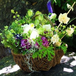 初夏のナチュラルフラワーガーデンバスケット6600円（税込）