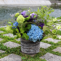 【父の日ギフト】 紫陽花のアレンジメント5000円