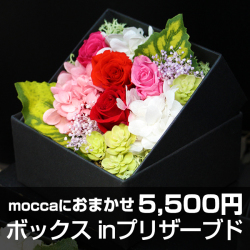 Moccaにおまかせ　ボックス in プリザーブドフラワー