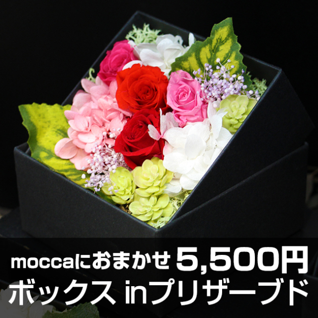 リアドロ フラワーズオンザラップ 膝の上の花 箱無し