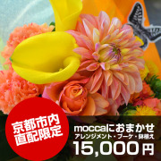 【送料無料】京都市内直配限定moccaにおまかせ15,000円