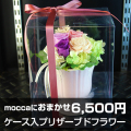 Moccaにおまかせ　ケース入プリザーブドフラワー