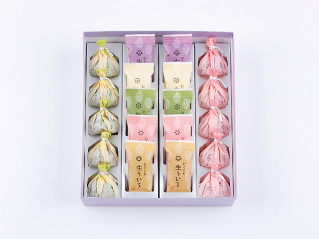 春の詰め合わせ7_2026