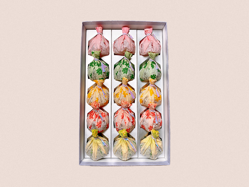 春の詰め合わせ1_2024