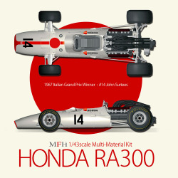 1/43scale Multi-Material Kit : HONDA RA300