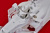 1/12scale Proportion Kit : SF71H