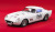 1/24scale Fulldetail Kit : 250 GT "TdF"