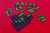 1/20scale サインボードセット / 1/20scale Signboard Set