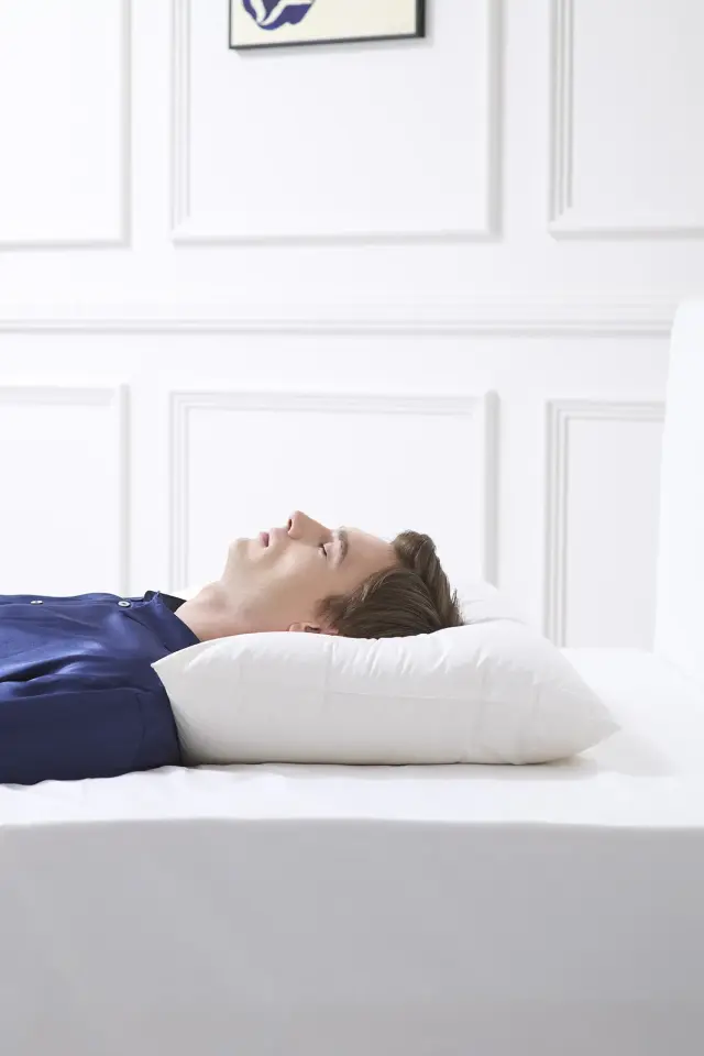 ダウンピロー｜フランス産ダウンを使用したホテル枕