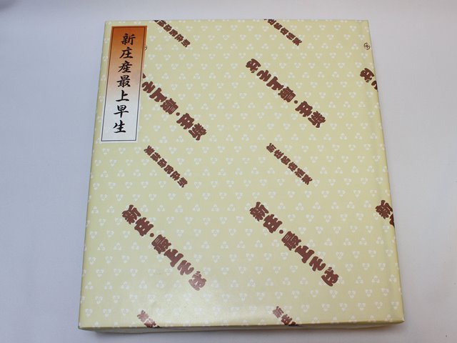 新庄・最上そば　乾麺　新庄産最上早生(もがみわせ)使用　10袋（150g×10）