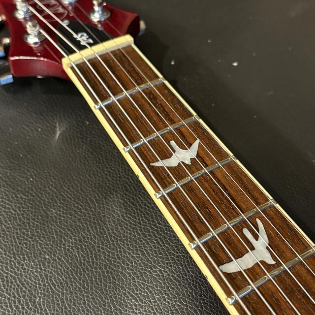 Paul Reed Smith(PRS) SE 245