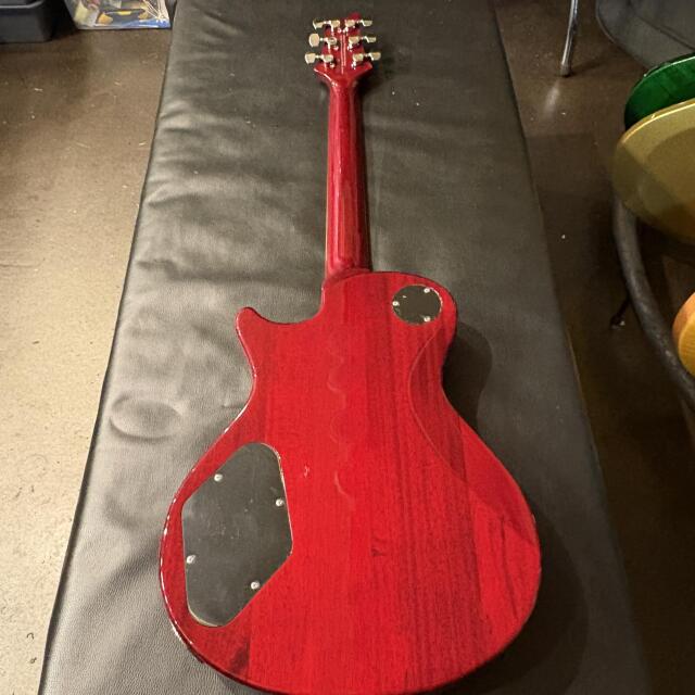 Paul Reed Smith(PRS) SE 245