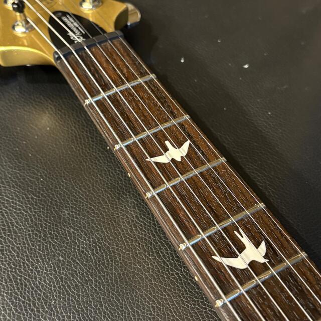 Paul Reed Smith(PRS) S2 30th Anniversary Custom 24