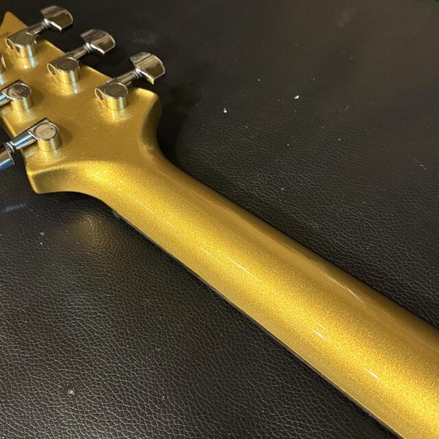 Paul Reed Smith(PRS) S2 30th Anniversary Custom 24