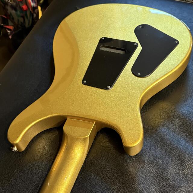 Paul Reed Smith(PRS) S2 30th Anniversary Custom 24