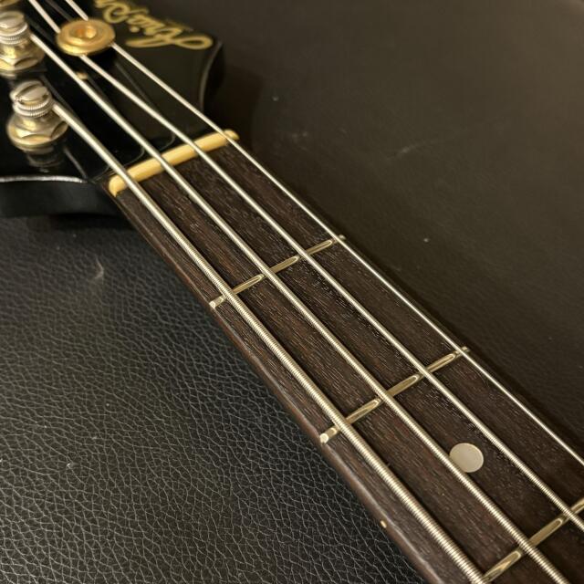 Aria Pro II RSB DELUXE-1
