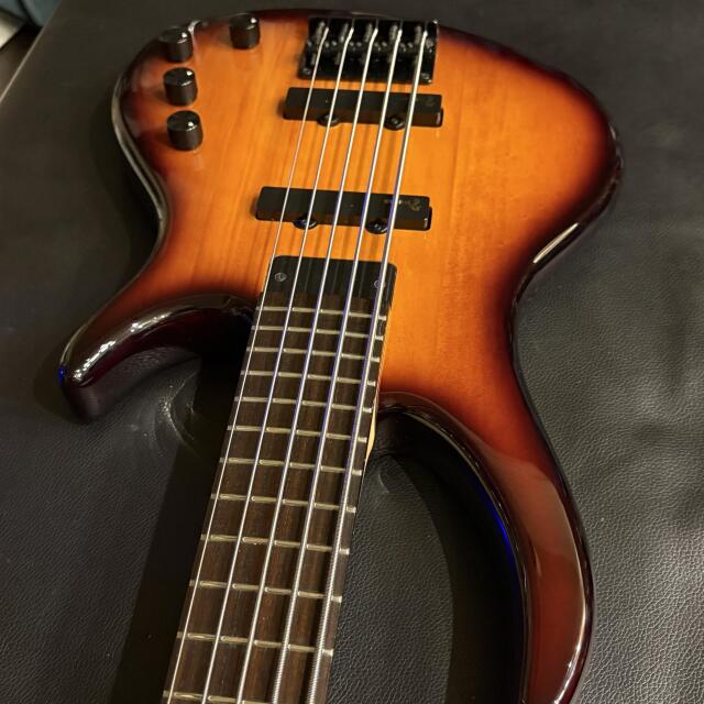 Epiphone Toby by Tobias V