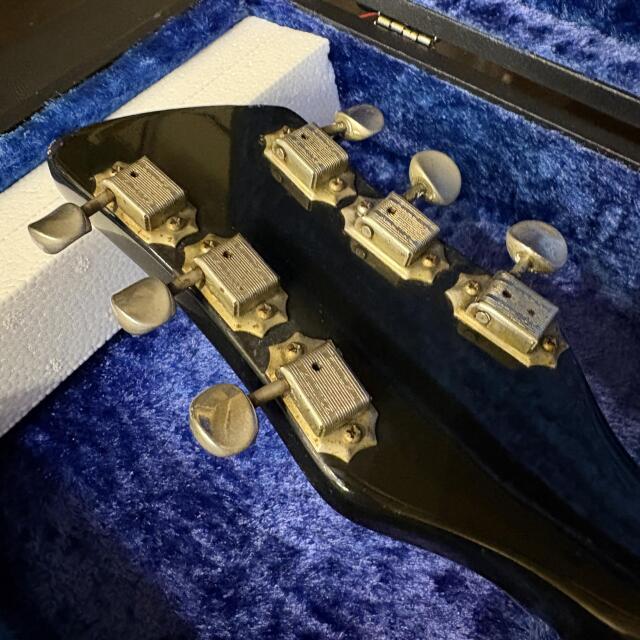 Rickenbacker 320