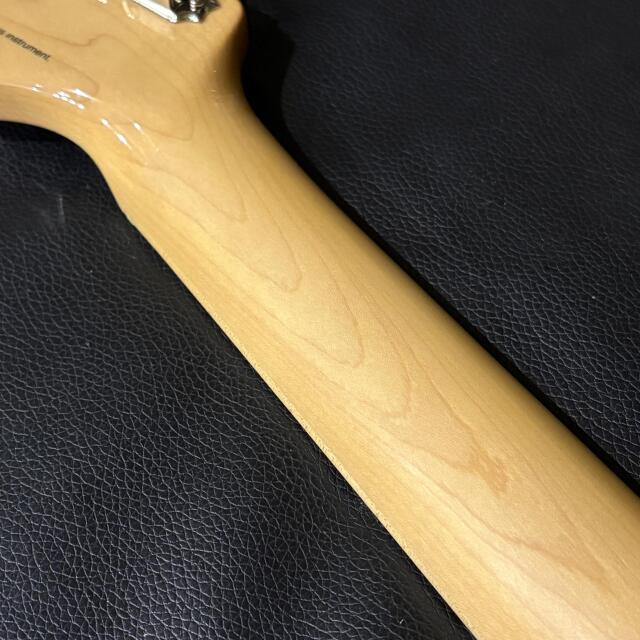 FUJIGEN(FGN) Neo Classic NTE100MAH-OWB