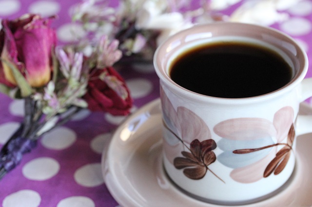 コスタリカ　ディヴィーノ・ニーニョ農園 ナチュラル　ハイロースト 200g