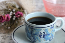 コスタリカ　グラニートス・デ・アルトゥーラ・デ・オルティス　「オルティス2000」　ゲイシャ　レッドハニー　ハイロースト 100g