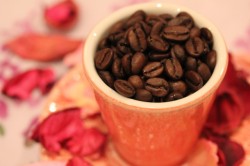 コスタリカ　ロス・クレストネス - エル・アルト農園 フレンチロースト 200g