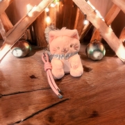 結良～夢見るネコのHAPPY HOLIDAY～クリスマスセット～