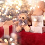 ギル～風花舞うあの場所で～クリスマスセット～