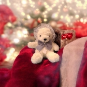 Ryuji～風花舞うあの場所で～クリスマスセット～