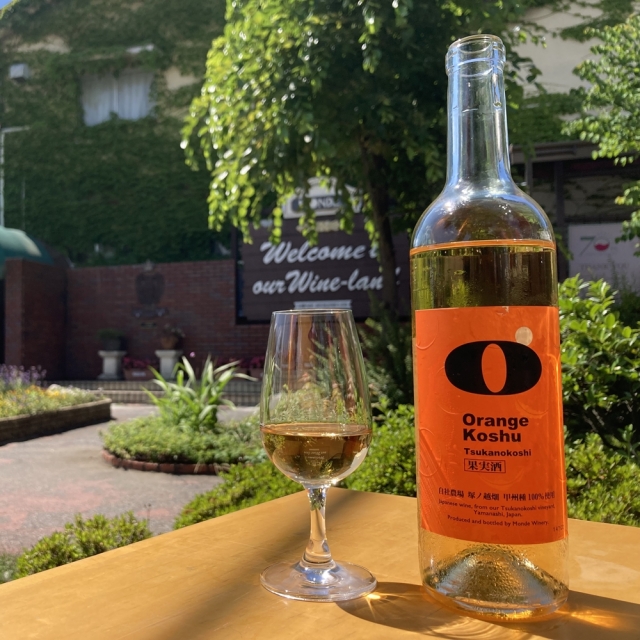 u*8様 ビンテージ　アジアン　オレンジ　フリンジラグ　象　エレファント　エスニ 甲州塚ノ越オレンジ