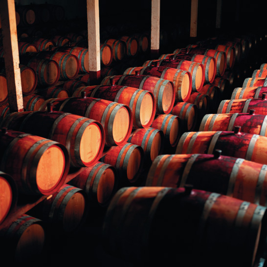 WOLF BLASS VIVID EDITION CHARDONNAY