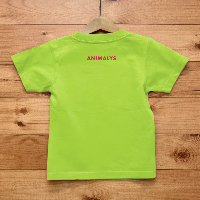 CATTY（キャッティ）