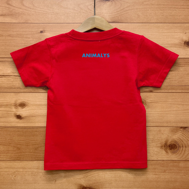 KOALY（コアリー）